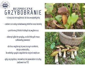 Zdjęcie przedstawia grzyby i koszyk oraz napis: Bezpieczne grzybobranie, staraj się nie wybierać do lasu w pojedynkę, zabierz ze sobą naładowany telefon oraz latarkę, poinformuj bliskich dokąd się wybierasz, zbieraj tylko te grzyby, co do których masz całkowitą pewność, do lasu wybieraj się wczesnym rankiem nie po zmierzchu, bo wtedy ryzyko zgubienia się jest większe, gdy się zgubisz niezwłocznie powiadom służby, zadzwoń na 112.