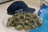 czapka policyjna a obok leży marihuana