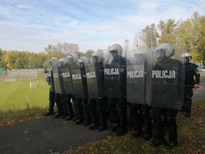 policjanci stoją w szyku policyjnym