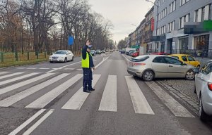 Policjant ruchu drogowego na pasach