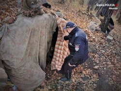 Policjant zagląda do szałasu w lesie