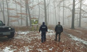 Policjant i strażnik leśny w lesie