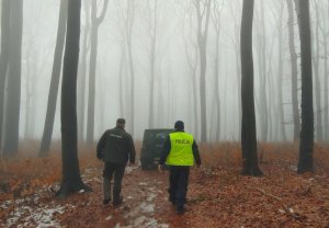 Policjant i strażnik leśny idą drogą w lesie