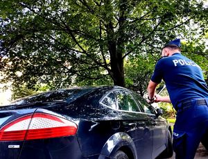 Na zdjęciu policjant trzymający w dłoniach pałkę policyjną, biorący zamach przed uderzeniem w szybę ciemnego samochodu osobowego.