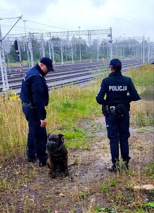 na zdjęciu policjantka i funkcjonariusz straży ochrony kolei z psem na obszarze kolejowym