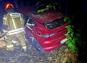 na zdjęciu strażak obok uszkodzonego czerwonego samochodu znajdującego się między drzewami