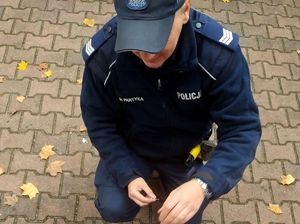 na zdjęciu policjant