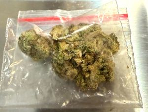 susz roślinny w przezroczystym woreczku