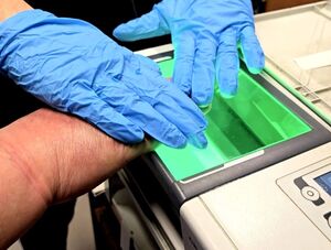 dłonie w trakcie pobierania śladów daktyloskopijnych