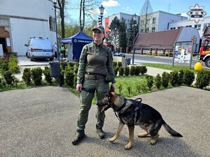 funkcjonariuszka straży granicznej trzyma na linewce psa służbowego