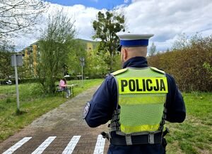 policjant ruchu drogowego odwrócony tyłem